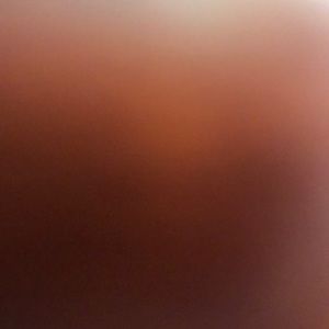 Meet your Posher, Abigail